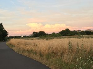 Outdoor-Aktivitäten in Bonn